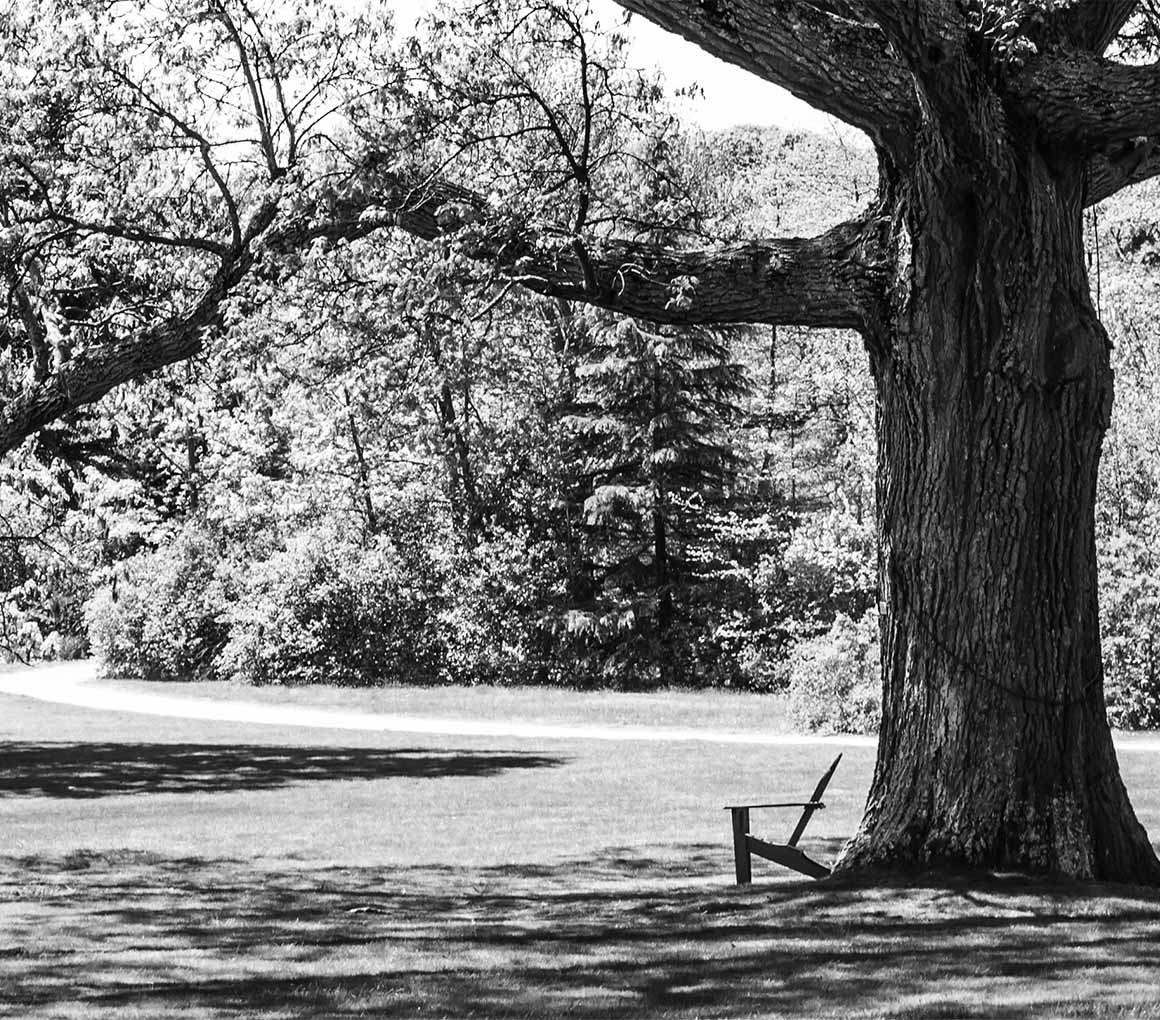 Mitchel Homes Rental Homes in East Meadow, NY